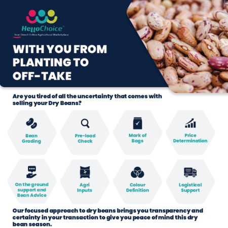HelloChoice Dry Bean Grading Services